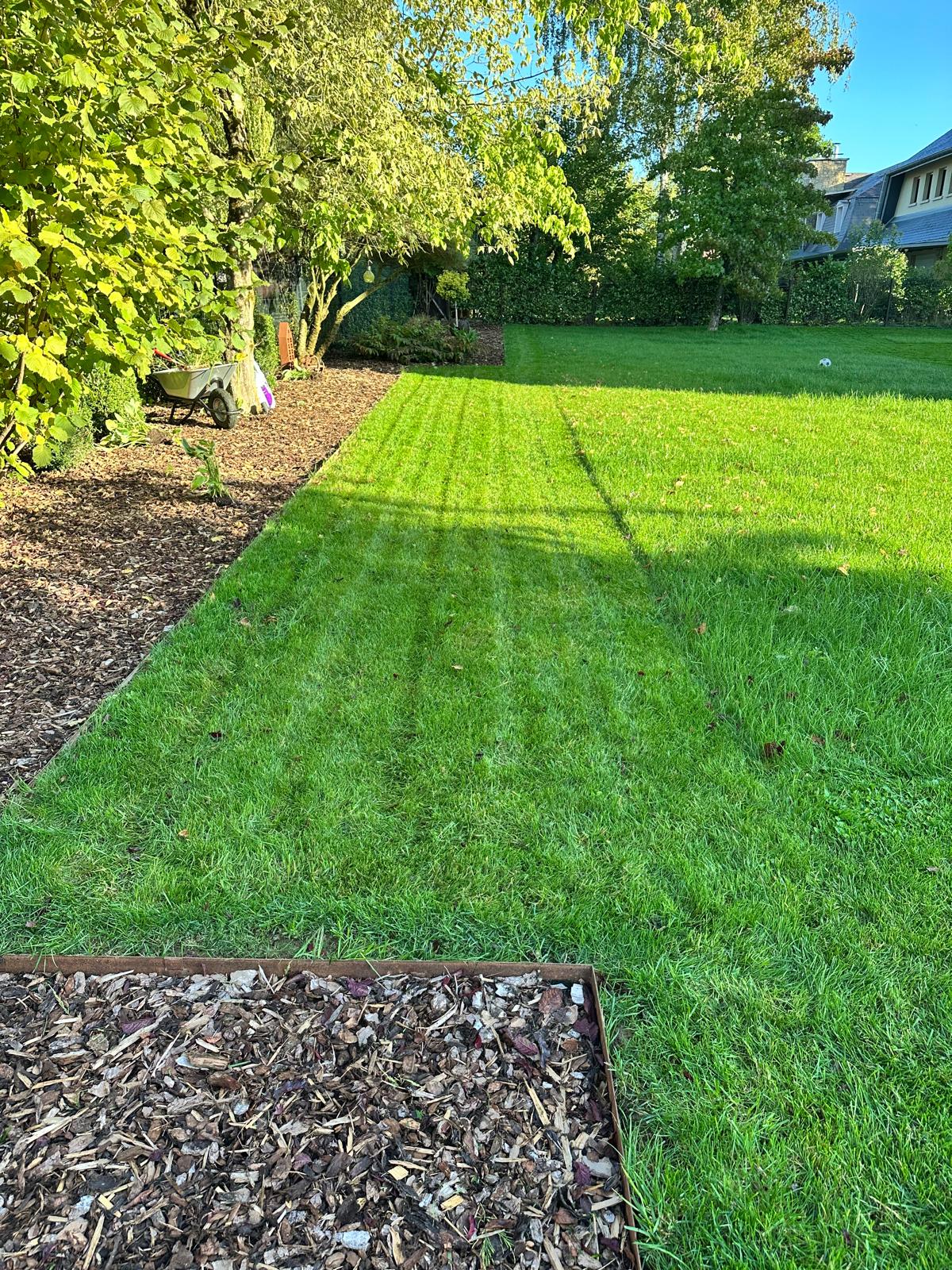 tonte pelouse Luxembourg