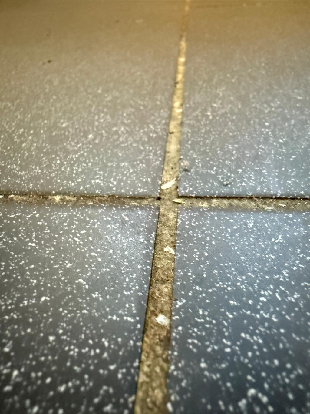 nettoyage cuisine luxembourg