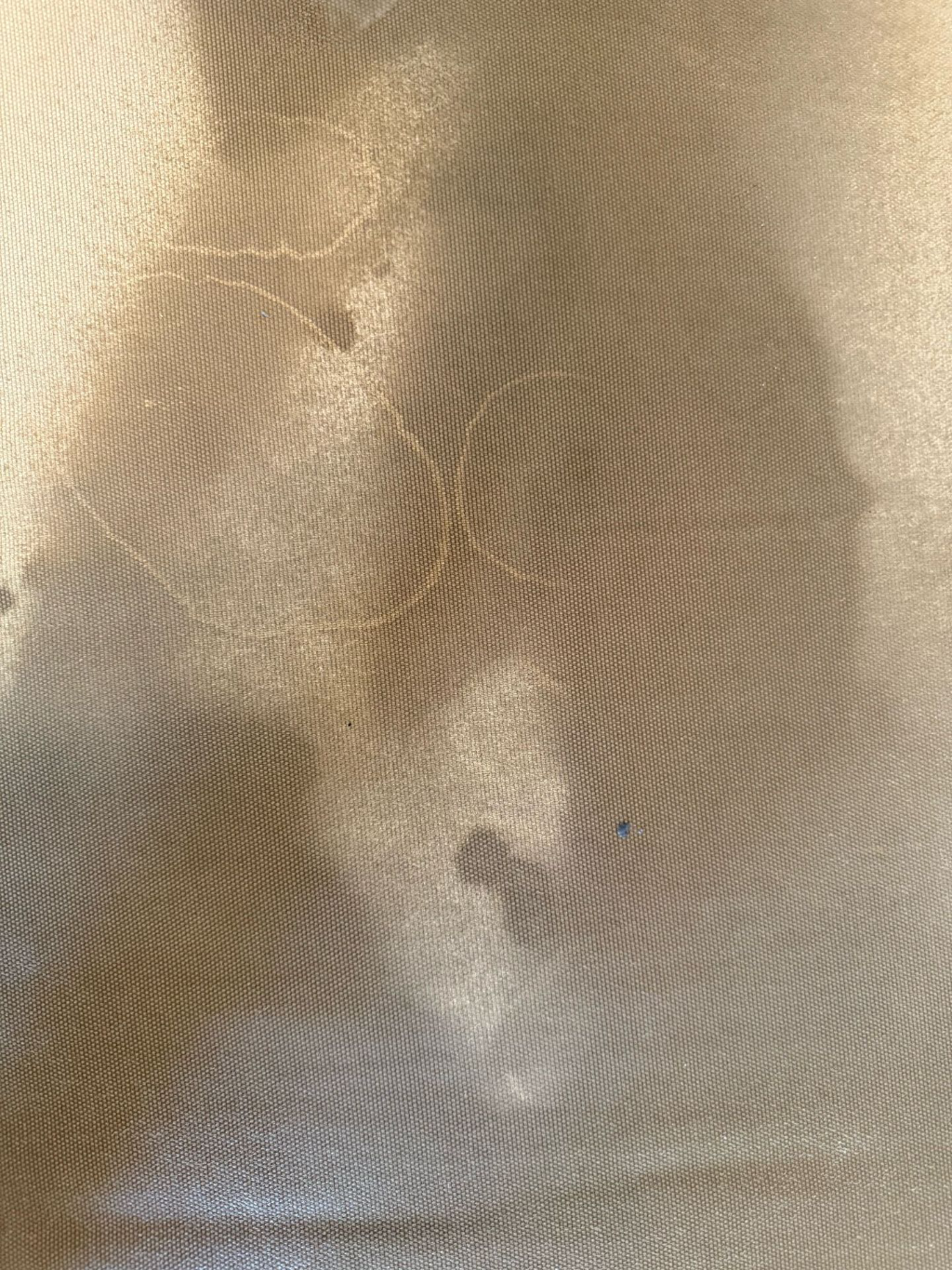 Nettoyage tissu vapeur Luxembourg