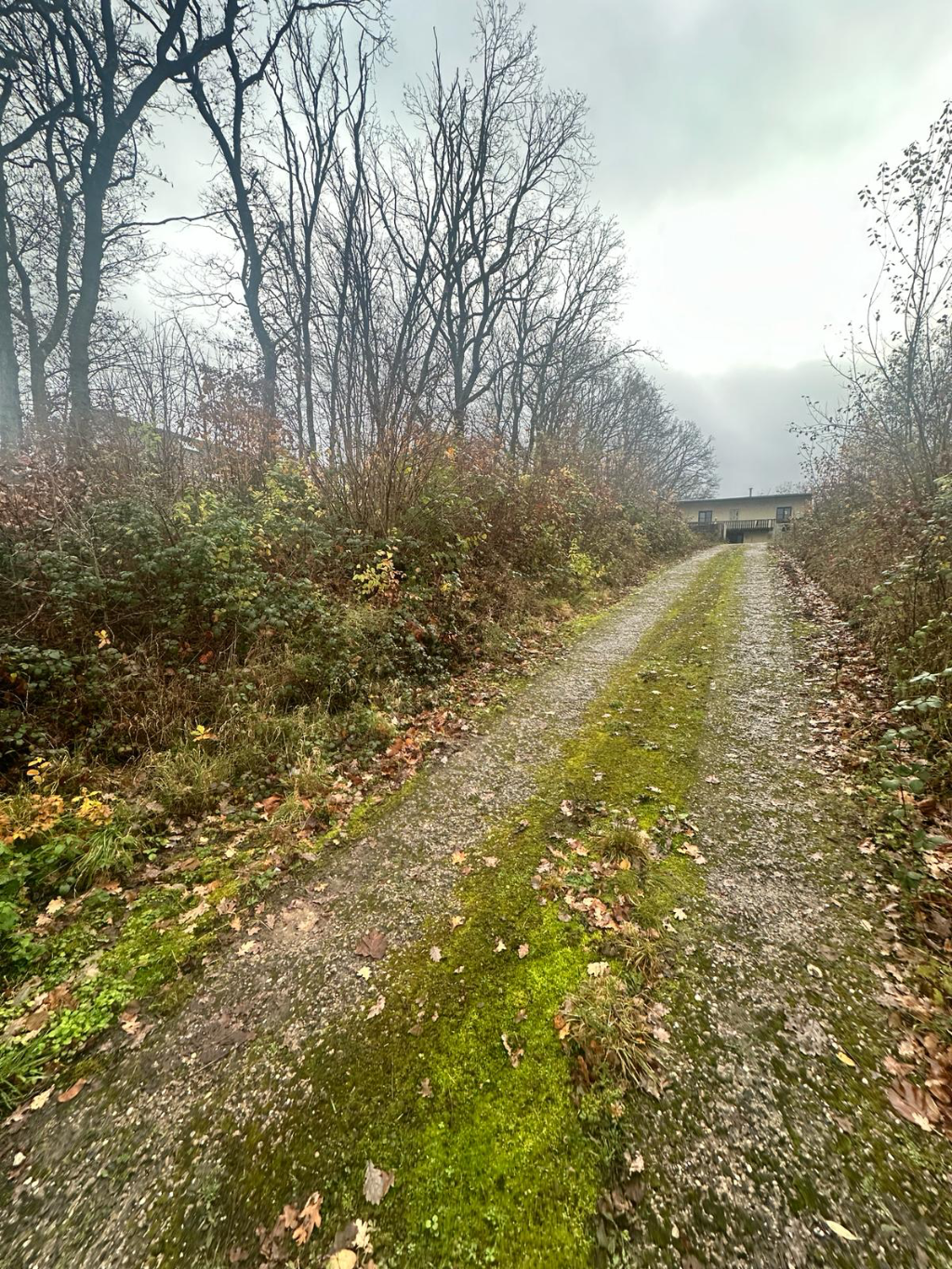 défrichage terrain luxembourg