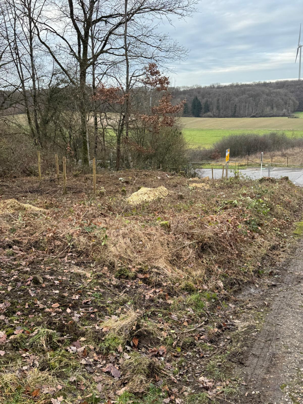 défrichage terrain luxembourg