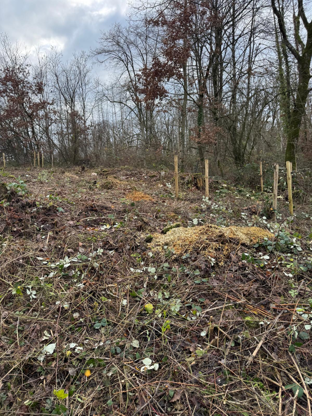 nettoyage terrain extérieur luxembourg